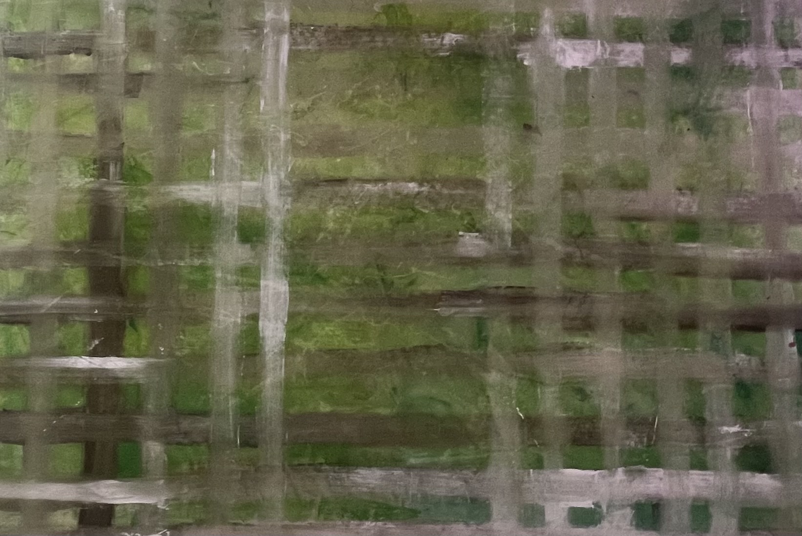 Lines (Green), 2024